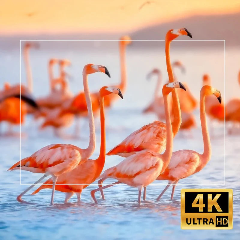 Projetor Portátil HY320 Pro 4K - Promoção de Agosto